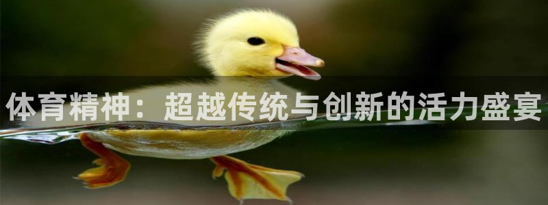 vsport体育官网下载平台是正规平台吗：体育精神：