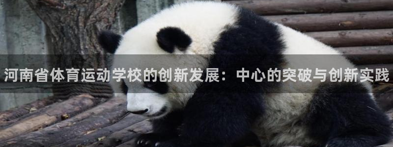 vsport体育官网下载平台注册要钱吗是真的吗：河南