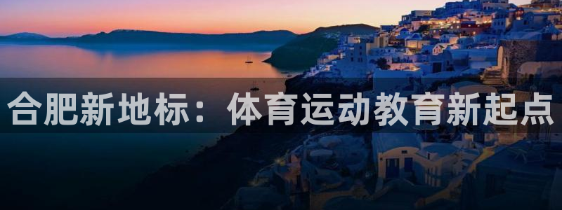 vsport体育官方集团官网：合肥新地标：体育运动教