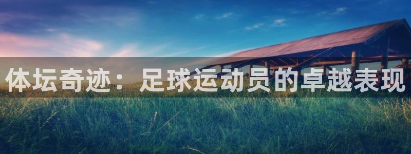 vsport体育官网下载平台是正规平台吗安全吗：体坛