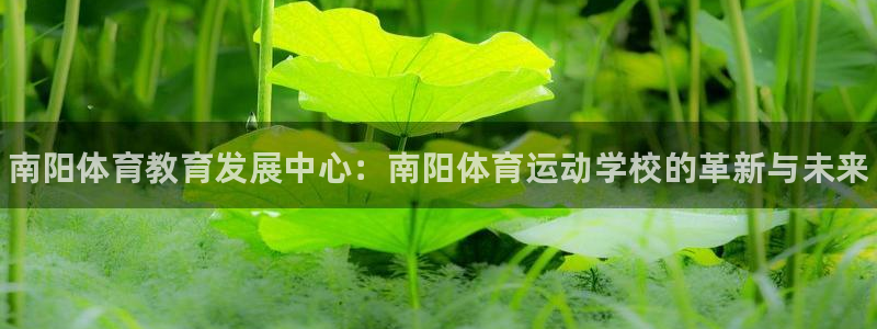 vsport体育官网下载官方客服电话