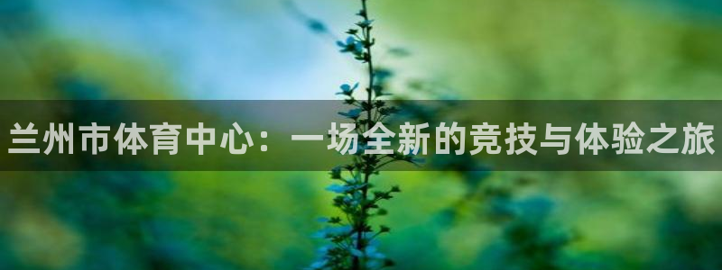 vsport体育官方正版app娱乐下载