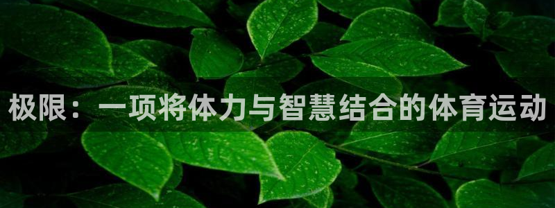 vsport体育官网下载招商电话号码是多少