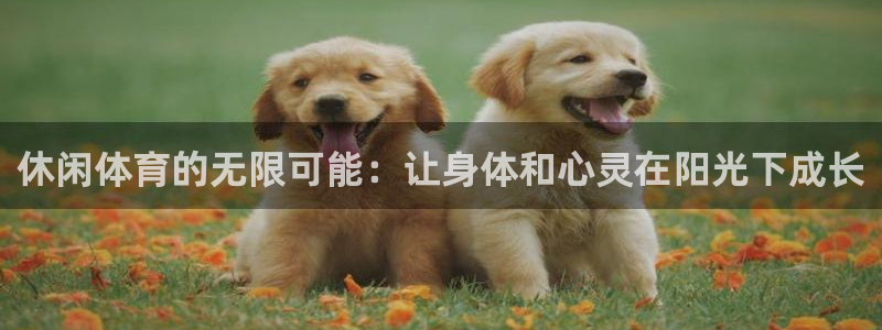 vsport体育官网下载招商电话号码查询是多少：休闲体育的无