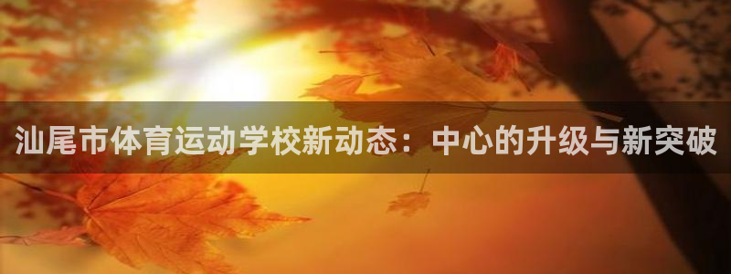 vsport体育官网下载是干嘛的公司：汕尾市体育运动学校新动