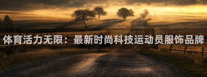 vsport体育官网下载平台是正规平台吗知乎：体育活力无限：