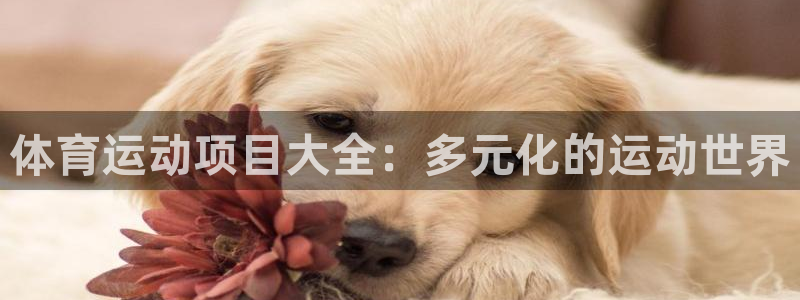 vsport体育官网下载平台是正规平台吗：体育运动项目大全：