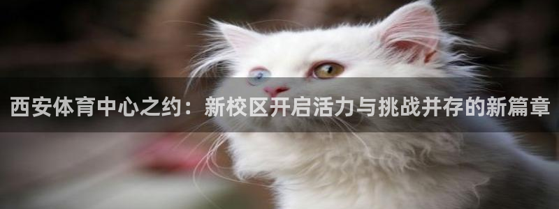 vsport体育官方正版app集团官网首页：西安体育中心之约