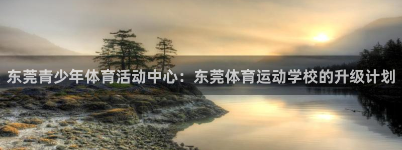 vsport体育官方正版app娱乐