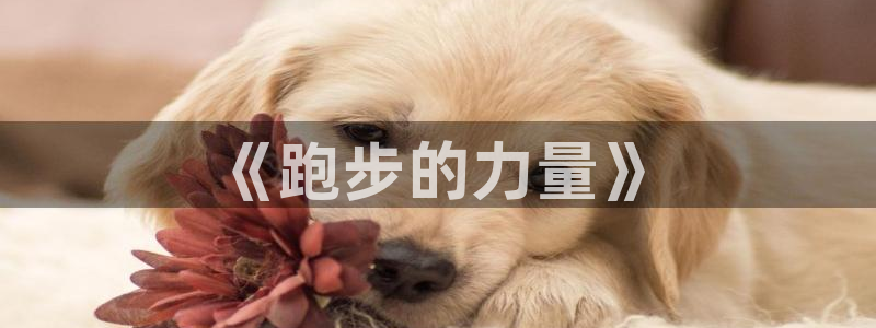 vsport体育官网下载：《跑步的力量》