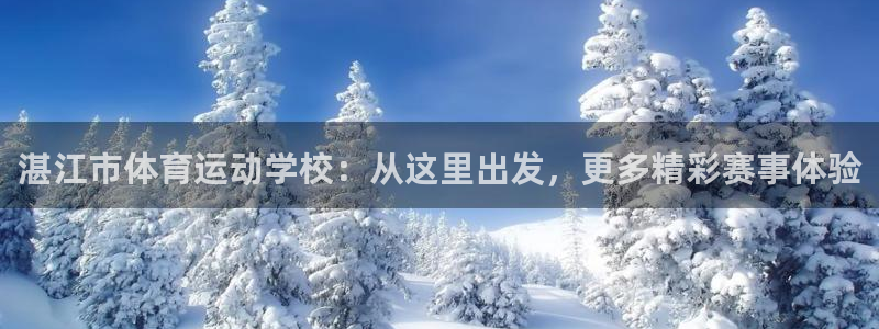 vsport体育官方正版app娱乐下载