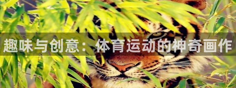 vsport体育官网下载平台是正规平台吗安全吗