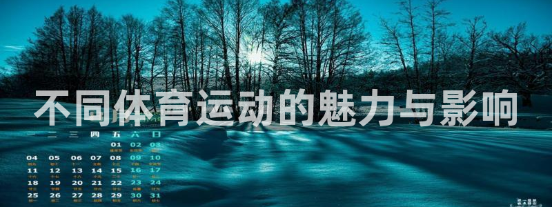 vsport体育官方正版app集团：不同体育运动的魅力与影响