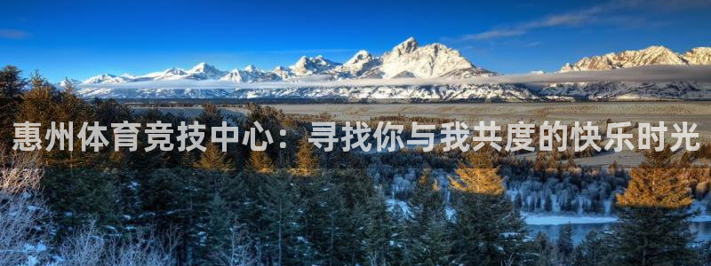 vsport体育官网下载招商电话地址：惠州体育竞技中心：寻找