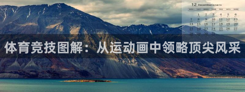 vsport体育官网下载平台是正规平台吗安全吗：体育竞技图解