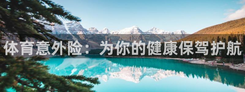 vsport体育官网下载软件：体育意外险：为你的健康保驾护航