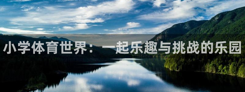 vsport体育官方正版app代理：小学体育世界：一