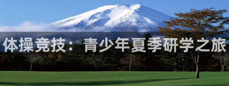 vsport体育官方正版app集团官网首页网址