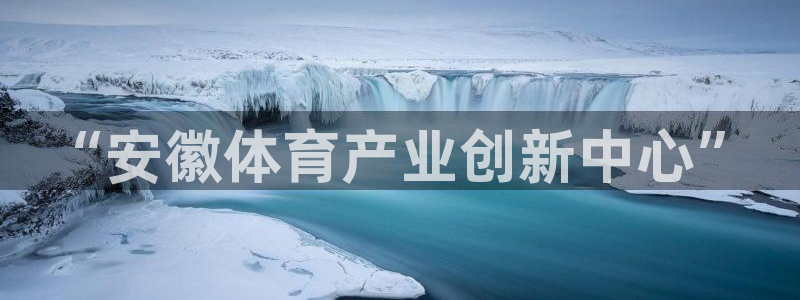 vsport体育官网下载平台APP：“安徽体育产业创新中心”