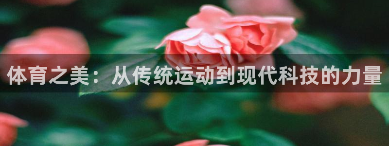 vsport体育官网下载招商电话地址查询