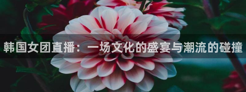 极速体育直播间：韩国女团直播：一场文化的盛宴与潮流的碰撞