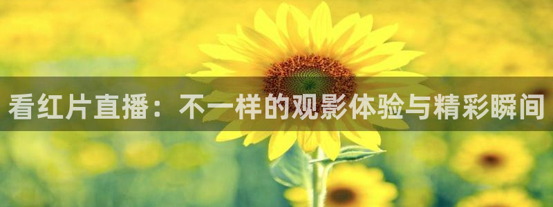 nba直播极速体育直播：看红片直播：不一样的观影体验与精彩瞬间
