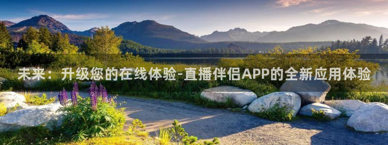 jrs极速体育直播nba：未来：升级您的在线体验-直播伴侣APP的全新应用体验
