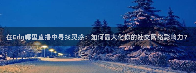 极速体育直播吧体育直：在Edg哪里直播中寻找灵感：如何最大化你的社交网络影响力？