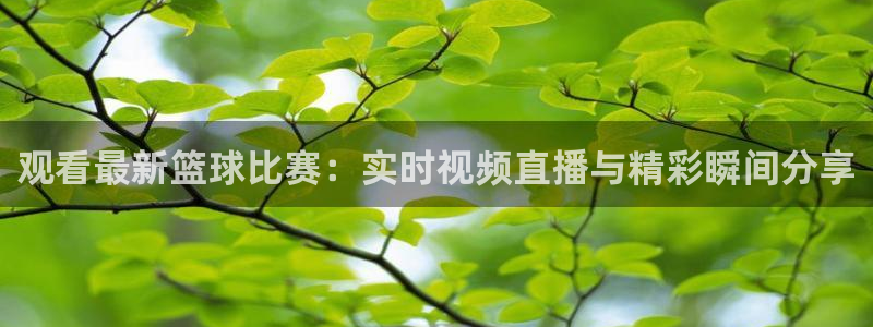 极速体育在线观看直播：观看最新篮球比赛：实时视频直播与精彩瞬间分享