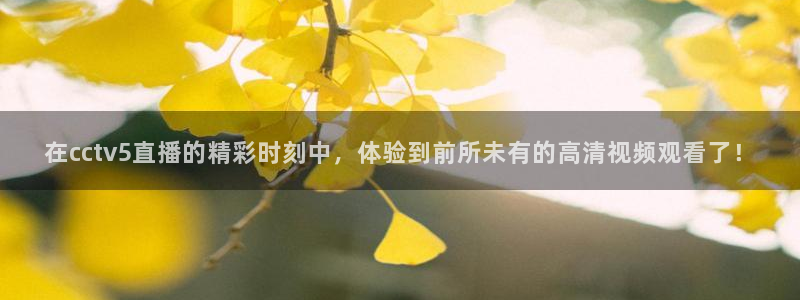 极速体育在线直播观看：在cctv5直播的精彩时刻中，体验到前所未有的高清视频观看了！