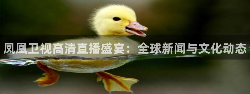 极速体育直播在线看：凤凰卫视高清直播盛宴：全球新闻与文化动态